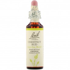 바흐, Flower Essence Chestnut Bud, 20 ml