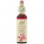 바흐, Flower Essence Crab Apple, 20 ml