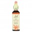 바흐, Flower Essence Red Chestnut, 20 ml