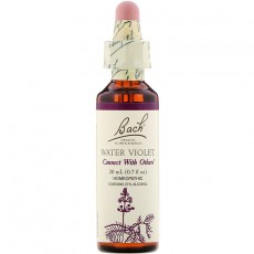 바흐, Flower Essence Water Violet, 20 ml
