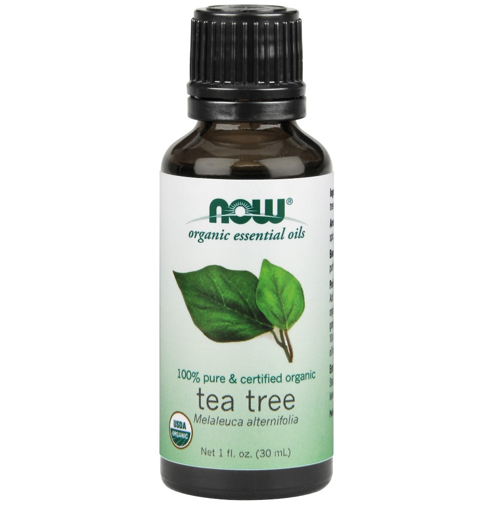 나우 Now, 100% 퓨어, USDA 인증 유기농, 티트리 오일, 1 fl oz (30 ml)